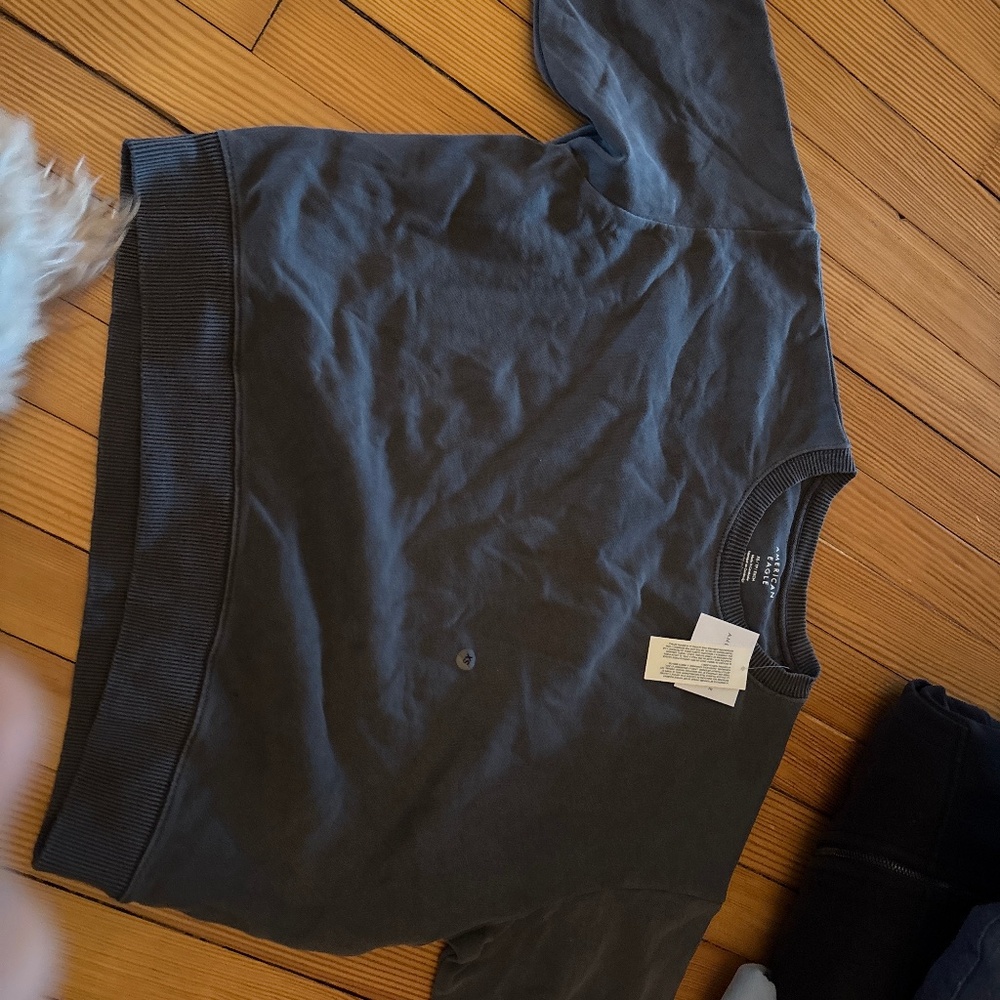 Gray sweatshirt crop